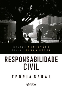 Responsabilidade civil : teoria geral